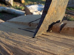 From Wikmedia Commons