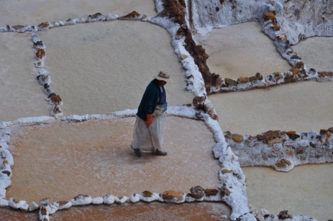 Copyright Dawn O Landau