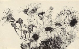 Daisies by Avigdor Arikha