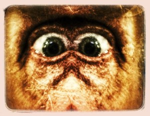 A little photediting..