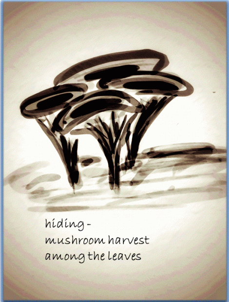 Mushroom harvest-cropped