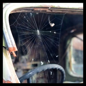 Copyright Björn Rudberg