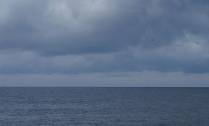 Horisont_(1600777665) (1)