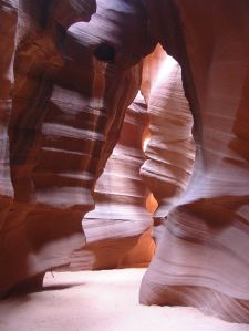 From Wikimedia Commons.