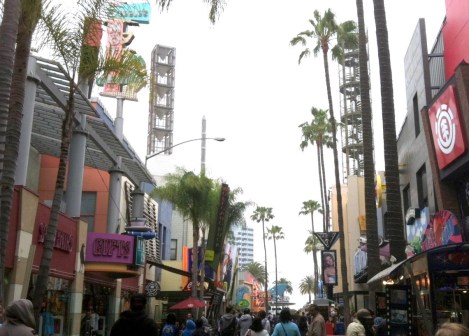 Copyright-Rochelle Wisoff-Fields