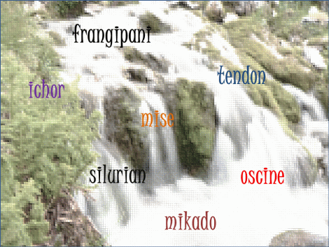 frangipani   ichor mikado silurian tendon oscine mise 