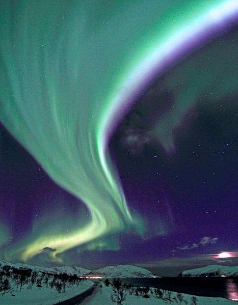 From Wikimedia Commons