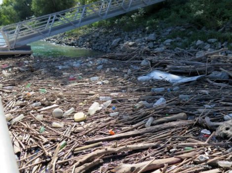 Copyright Sandra Cook