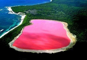lake-hillier-australia1