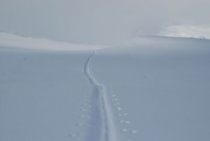 Ski-tracks