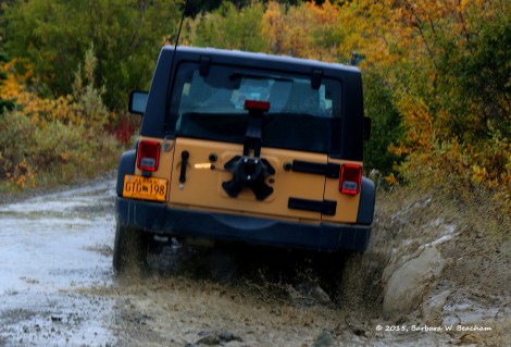 2015-01-19-bw-beacham