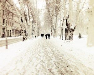  Placid by Ivana Vasilj, on Flickr