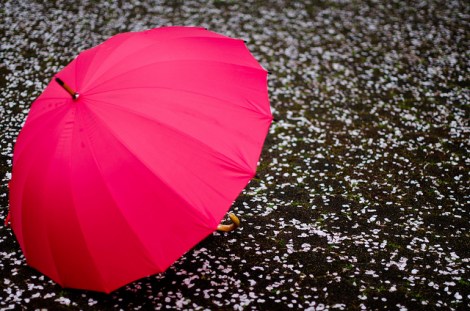 Copyright by totomai