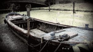 Copyright Georgia Koch