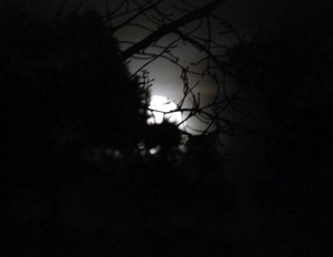 moon