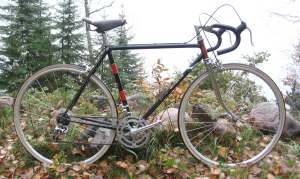 This what my first real bicycle looked like.