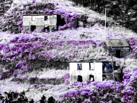 A photo from Madeira manipulated by me.