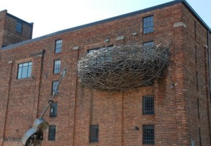 Bird's nest from The American Visionary Art Museum