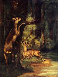 Male and Female Deer in the Woods by Gustave Corbet