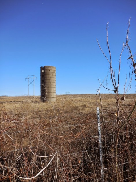 © Marie Gail Stratford