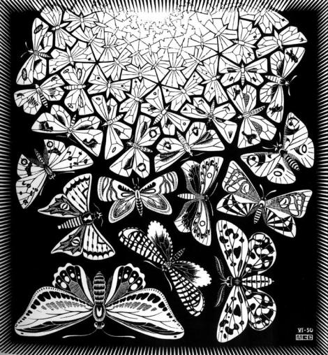 Butterflies by M.C. Escher
