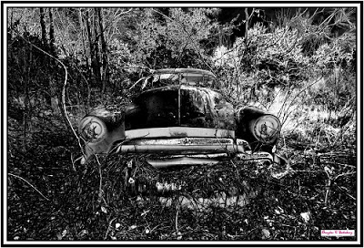 Photo - Douglas Salisbury