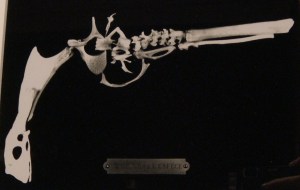 Genius of the Species by Wolfgang Paalen