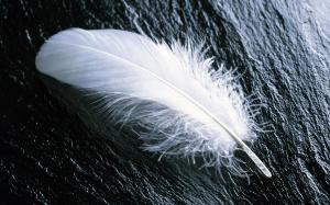 angel-feather