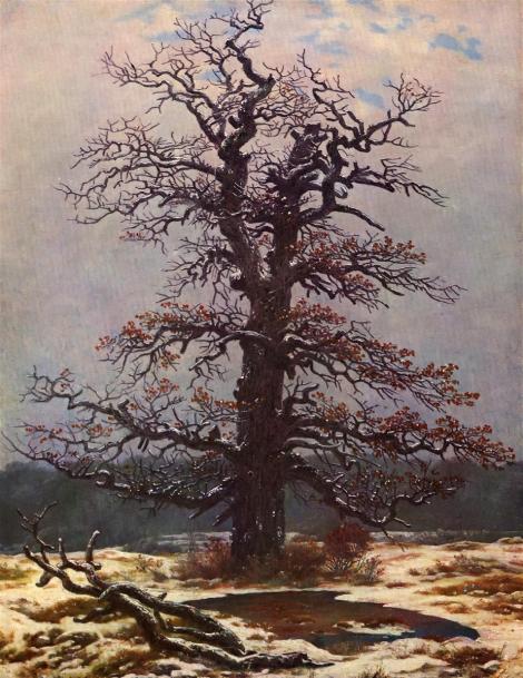 Oak tree in the snow by Caspar David Friedrich