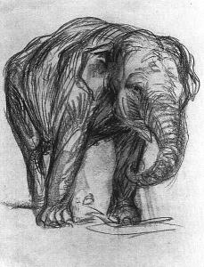 Elephant by Franz Marc