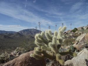 Copyright Michelle Beuchamp 