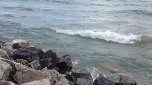 © Rochelle Wisoff-Fields