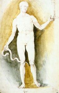 Male Nude With A Glass And Snake (Asclepius) by Albrecht Durer