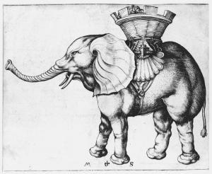 Elephant by Martin Schongauer