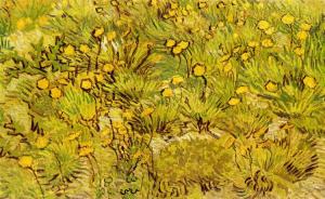 A field of yellow flowers by Vincent van Gogh